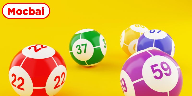 Dịch vụ giải trí xổ số mocbai cực kỳ chuyên nghiệp