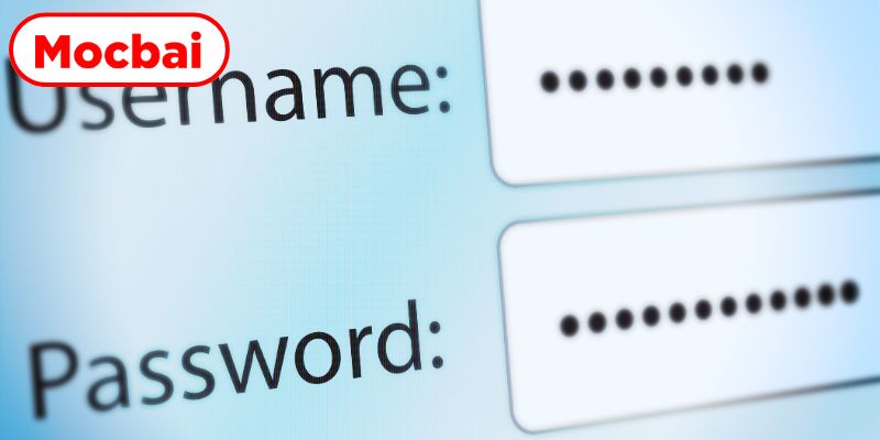 Thực hiện các bước quy định để đăng nhập mocbai thành công