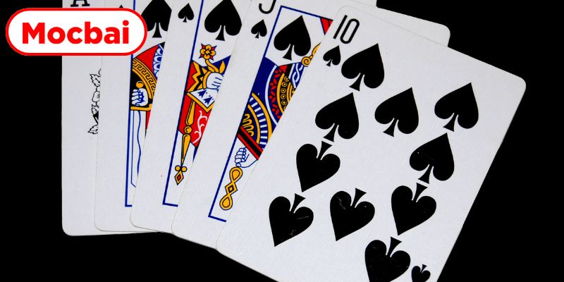 Thực hiện quy trình đánh bài bài bản chuẩn