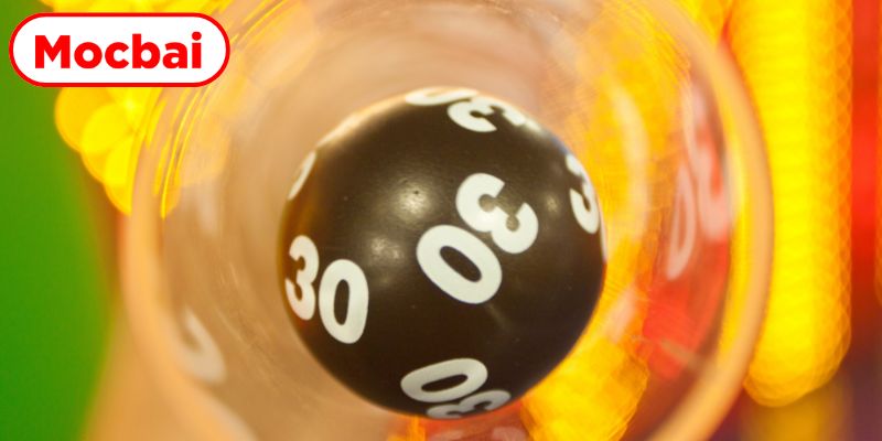 Tìm hiểu kiến thức tổng quan về đề 3 càng miền Nam