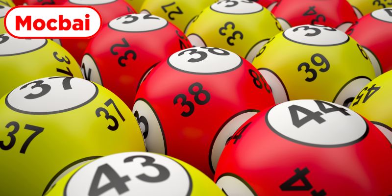 Tìm hiểu tường tận về hệ thống soi cầu rồng bạch kim